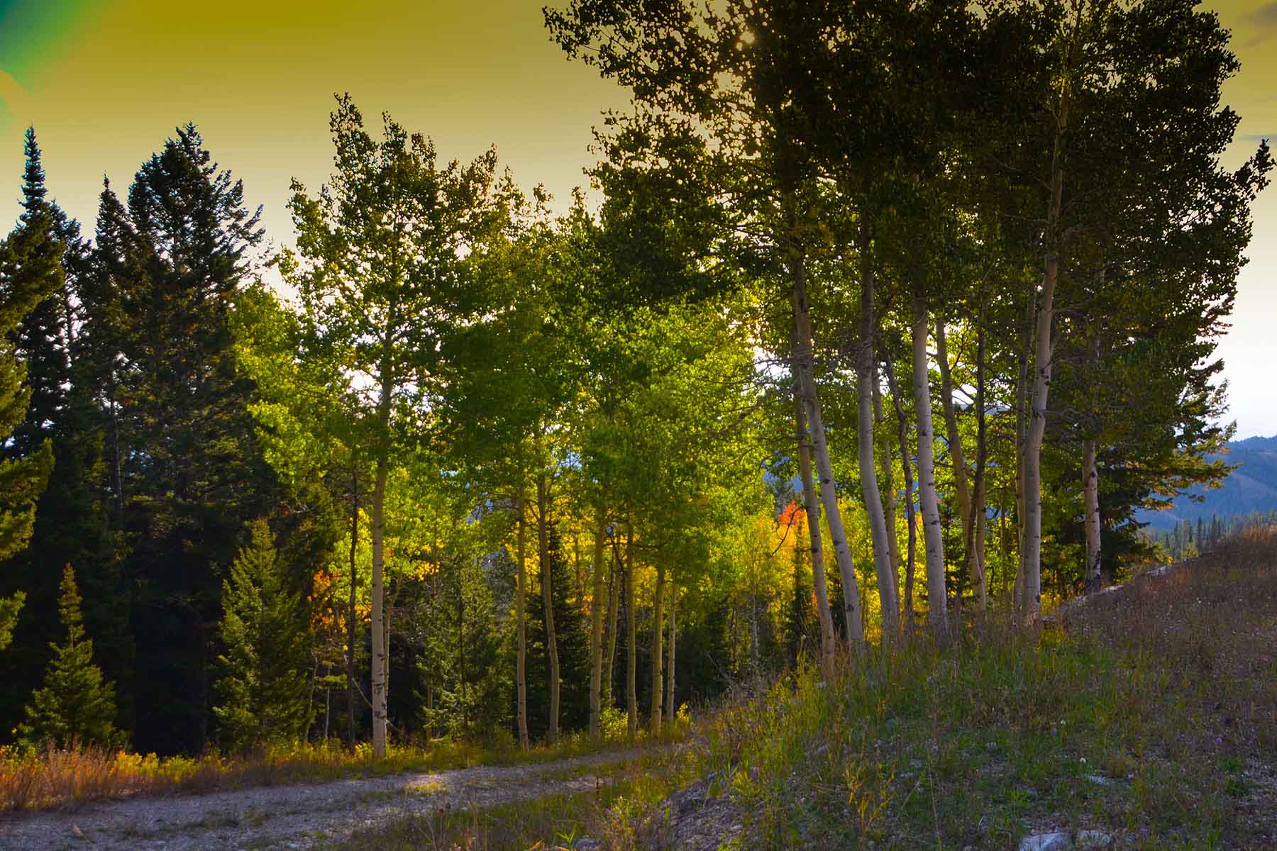 Teton Timbers Ranch property picture 46 of 55