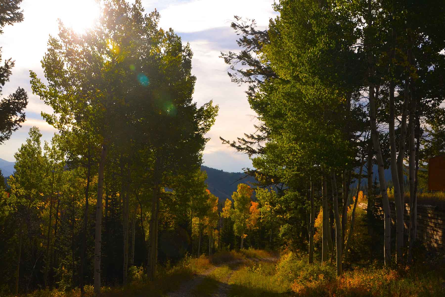 Teton Timbers Ranch property picture 47 of 55
