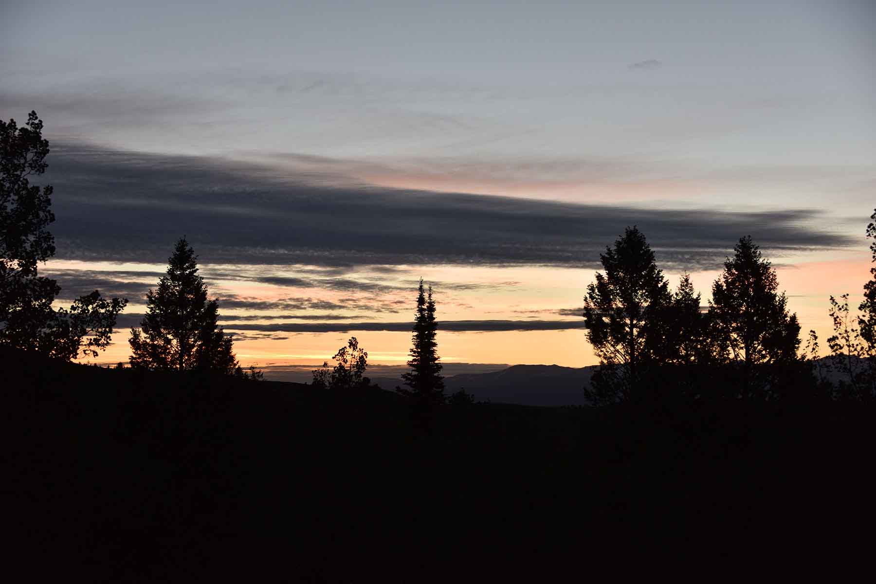 Teton Timbers Ranch property picture 50 of 55