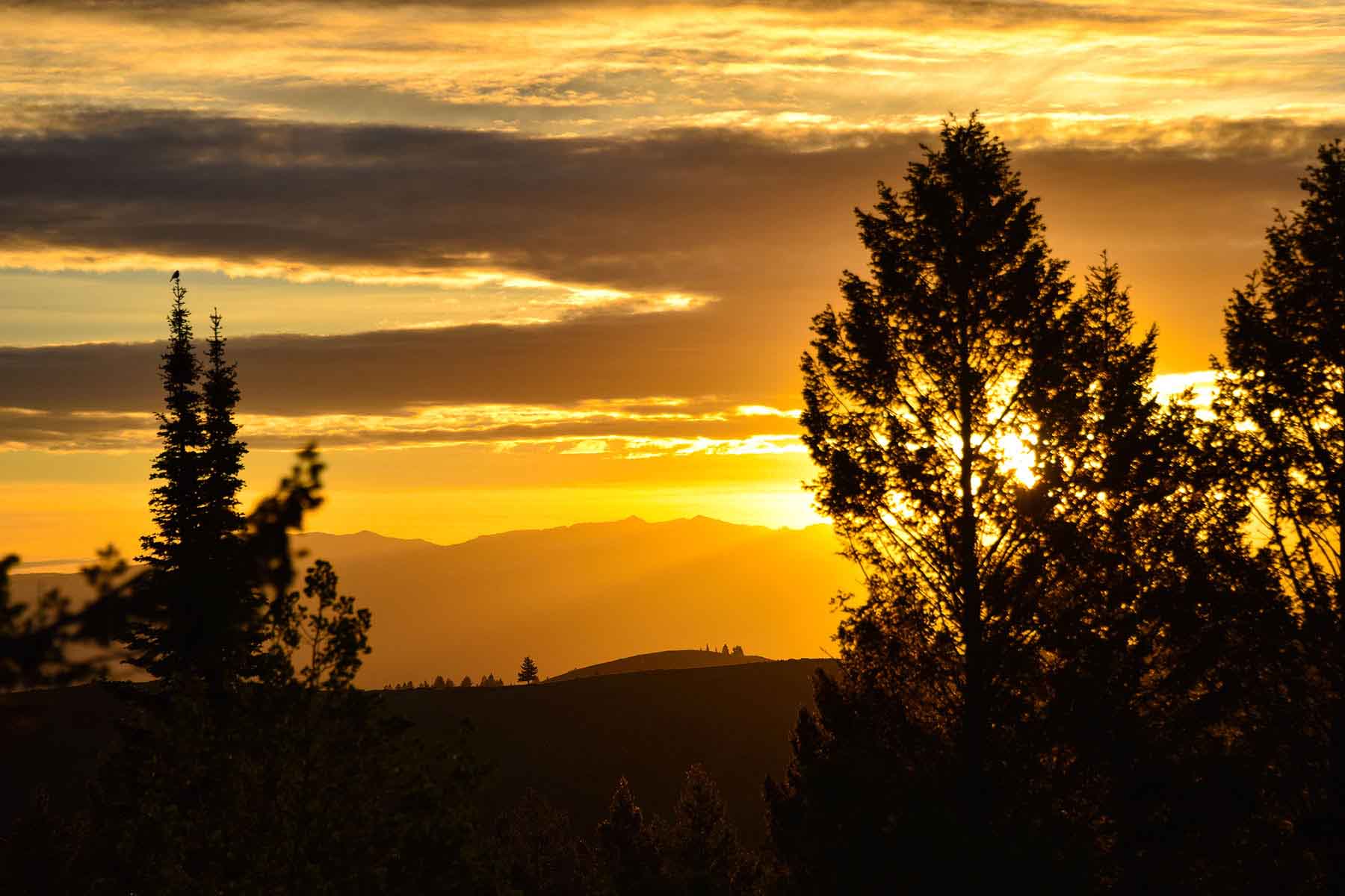 Teton Timbers Ranch property picture 54 of 55