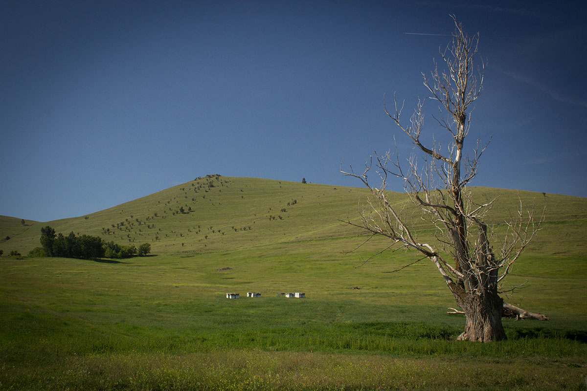 Valley View Ranch property picture 9 of 34