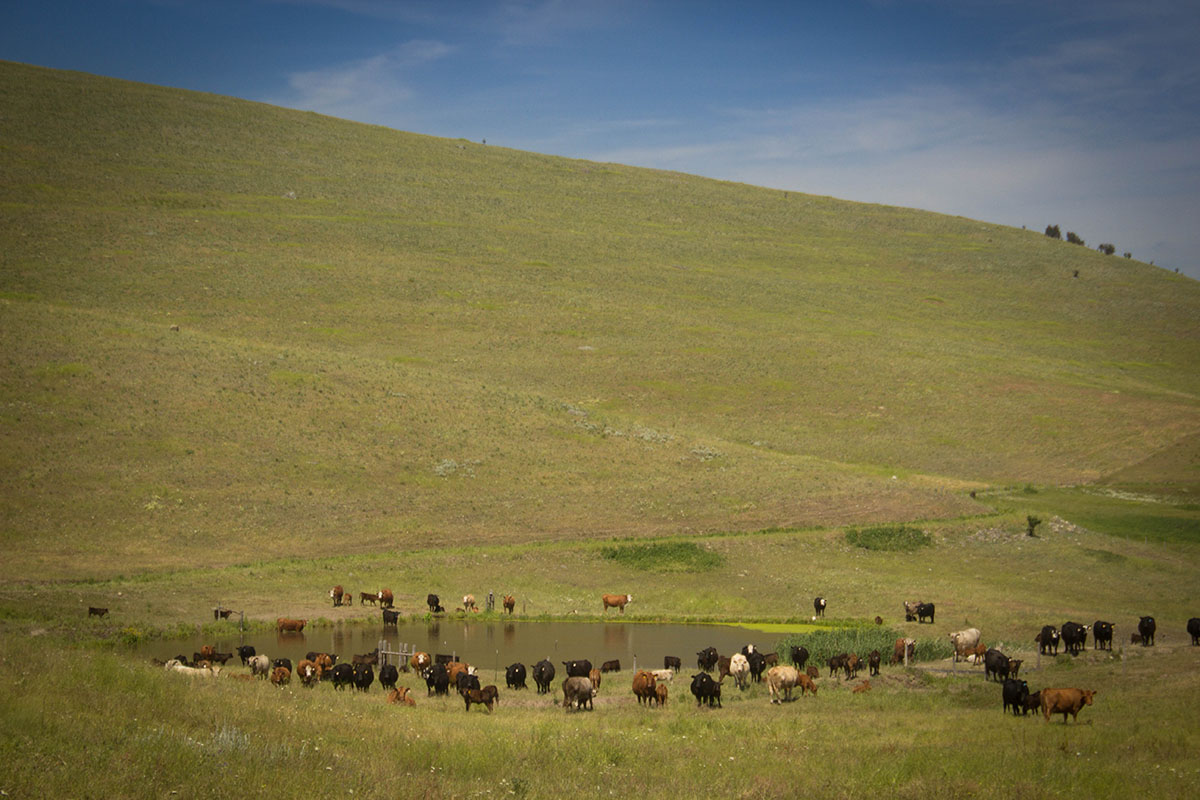 Valley View Ranch property picture 4 of 34