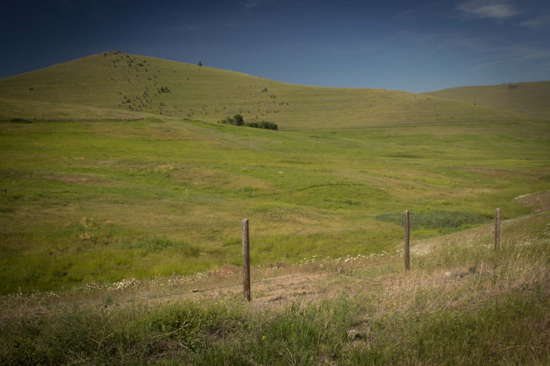 Valley View Ranch property picture 12 of 34