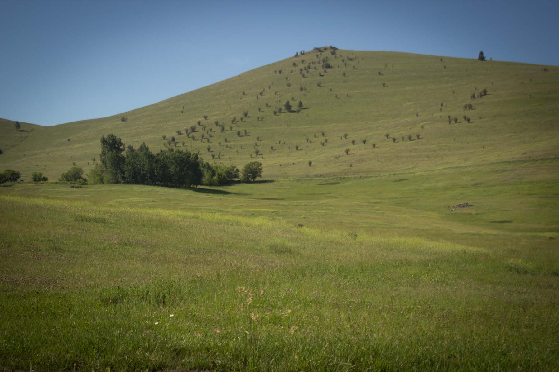 Valley View Ranch property picture 13 of 34