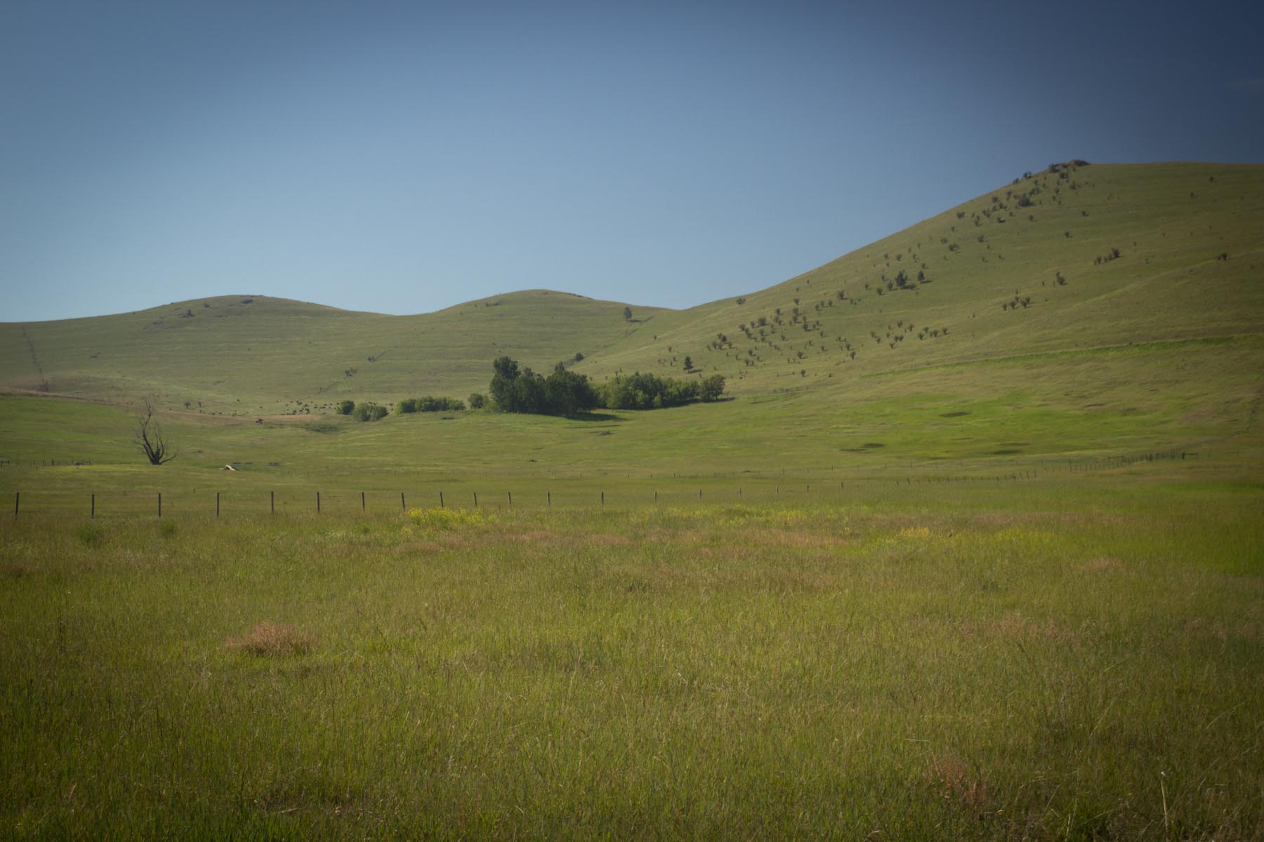 Valley View Ranch property picture 15 of 34