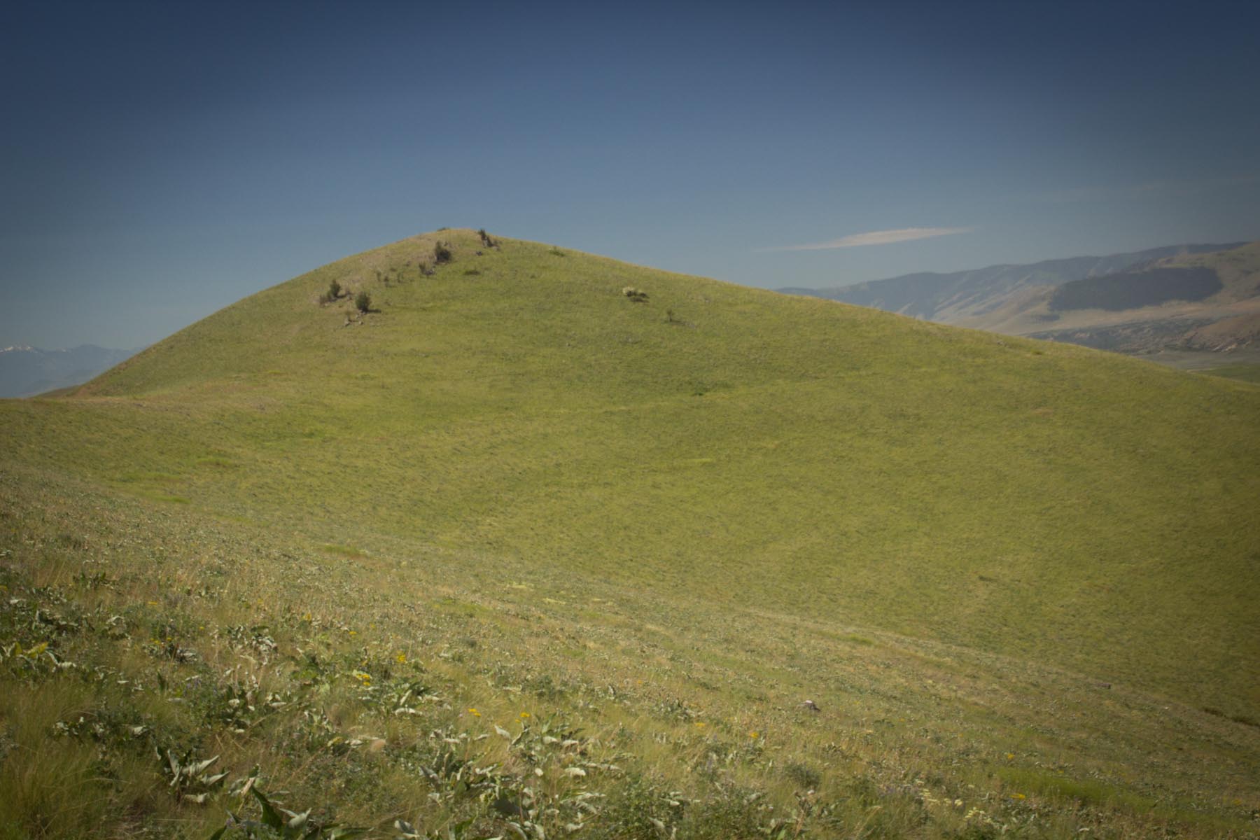 Valley View Ranch property picture 21 of 34