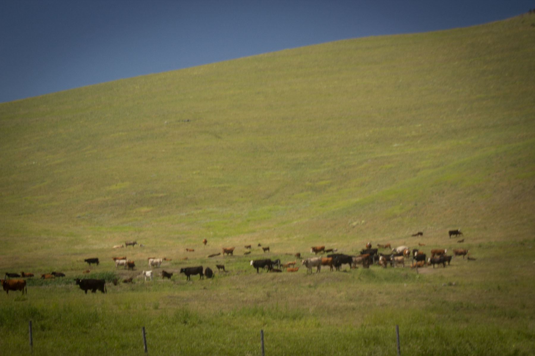 Valley View Ranch property picture 25 of 34