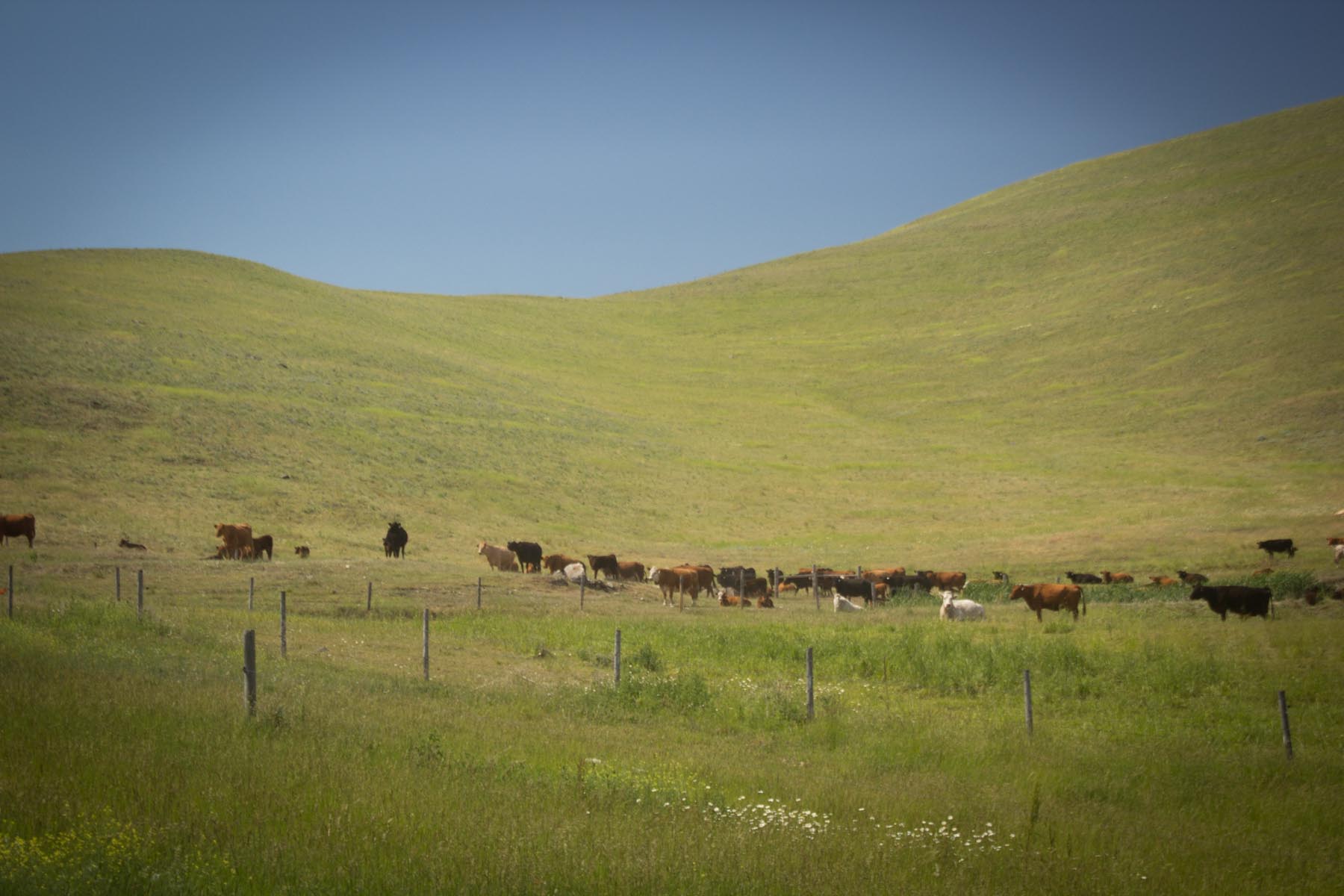 Valley View Ranch property picture 26 of 34