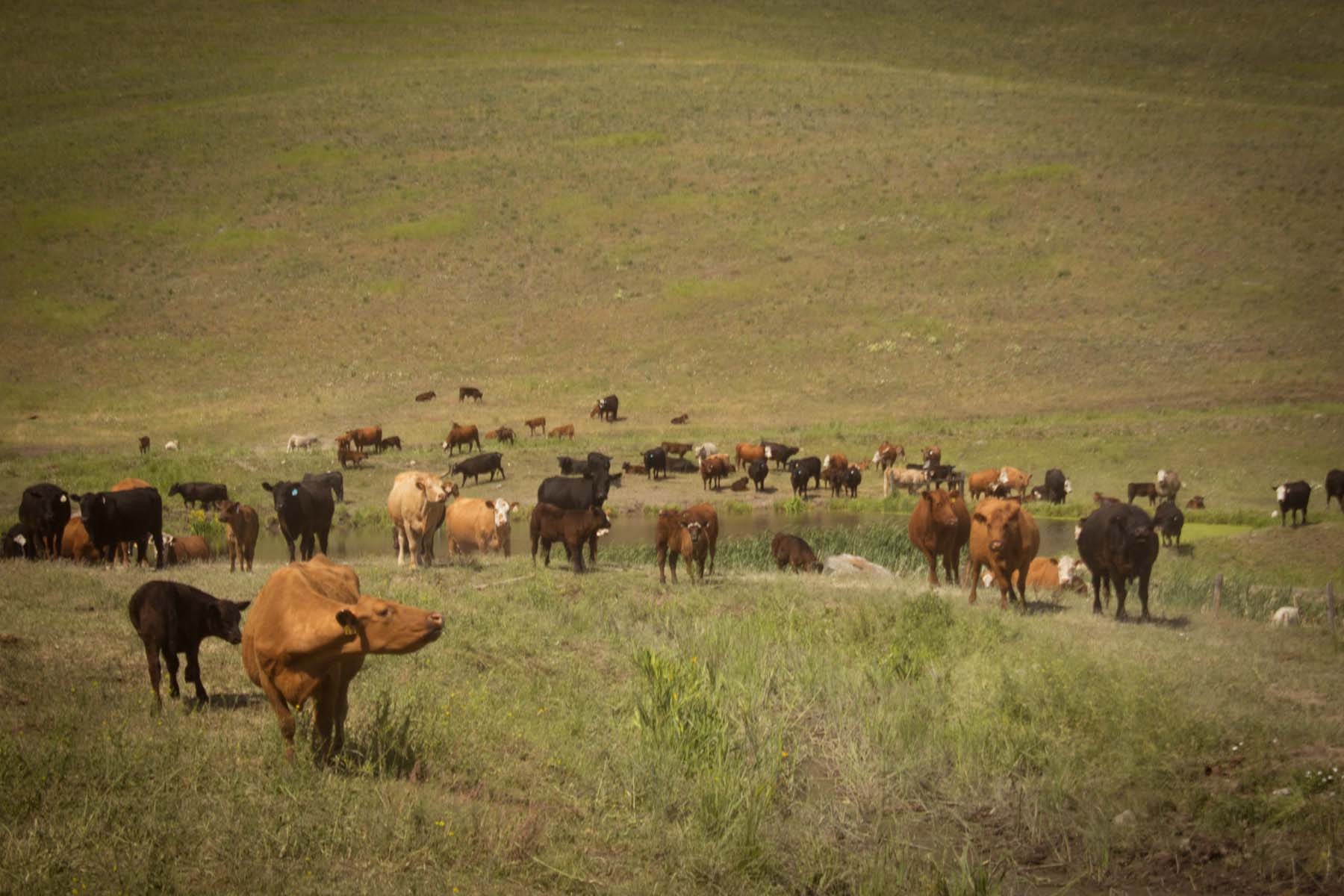 Valley View Ranch property picture 27 of 34