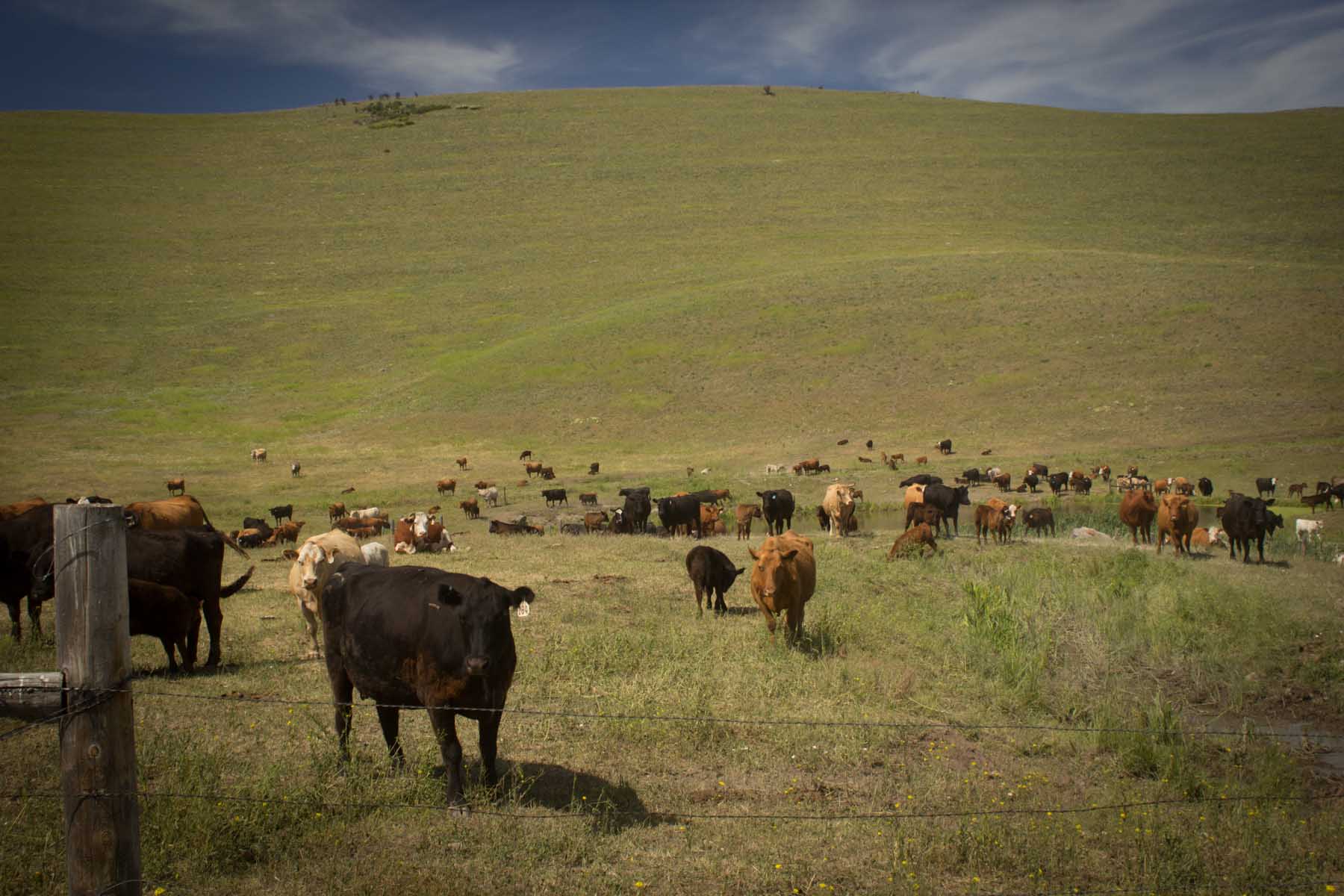 Valley View Ranch Sold Montana Hall and Hall