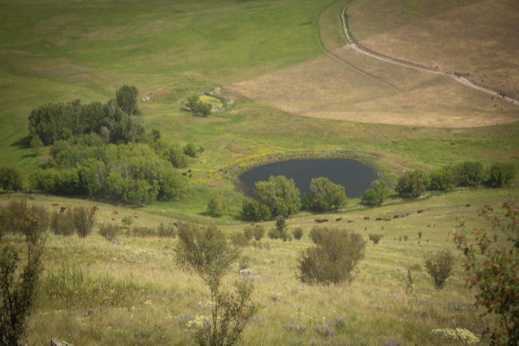 Valley View Ranch property picture 31 of 34