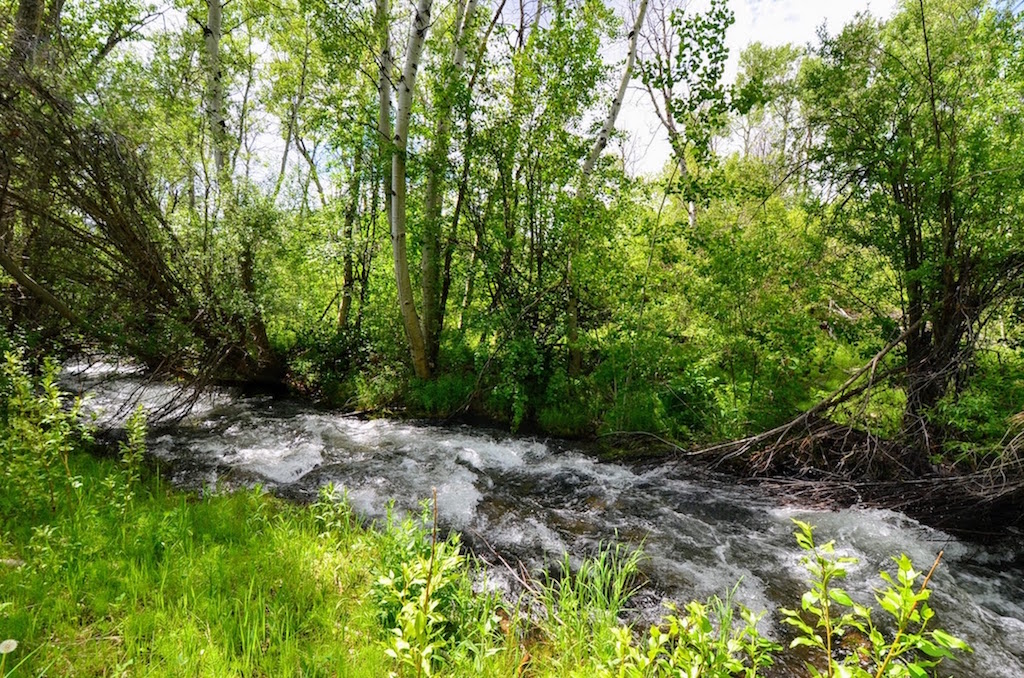 Little Morgan Creek Ranch property picture 46 of 58