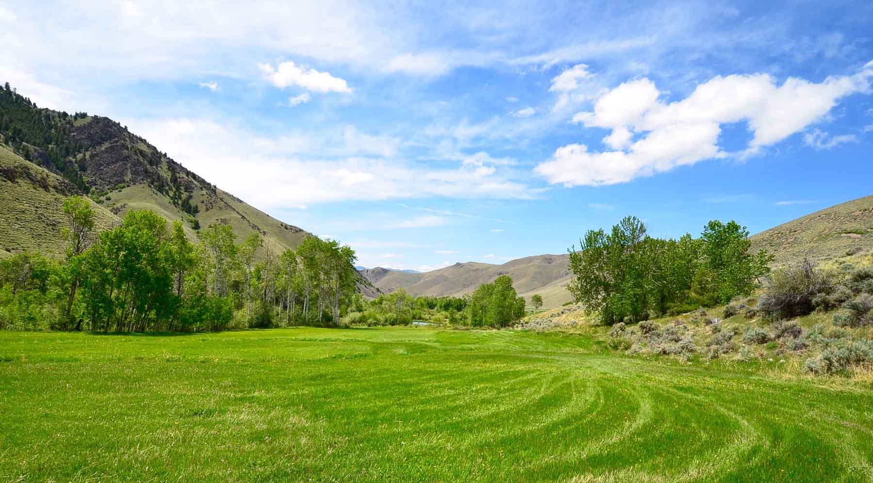 Little Morgan Creek Ranch property picture 24 of 58