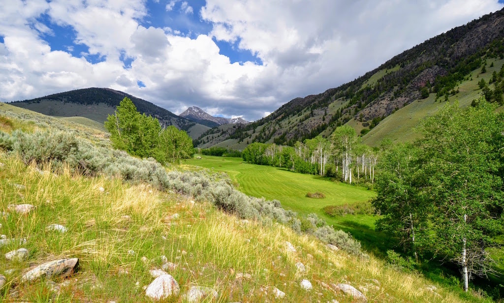 Little Morgan Creek Ranch property picture 56 of 58