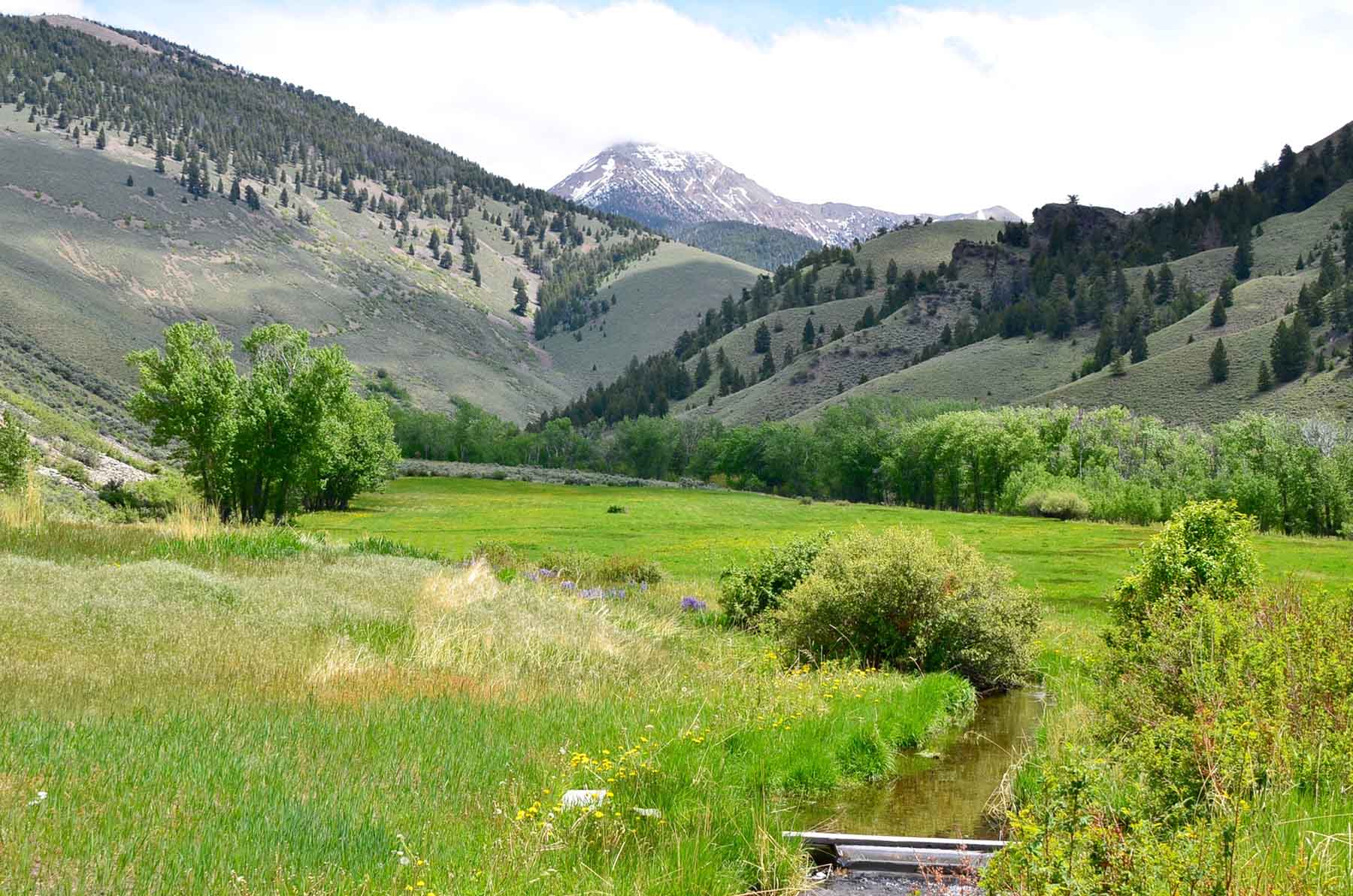 Little Morgan Creek Ranch property picture 37 of 58