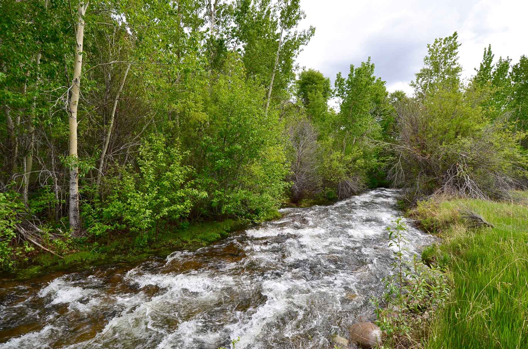 Little Morgan Creek Ranch property picture 26 of 58