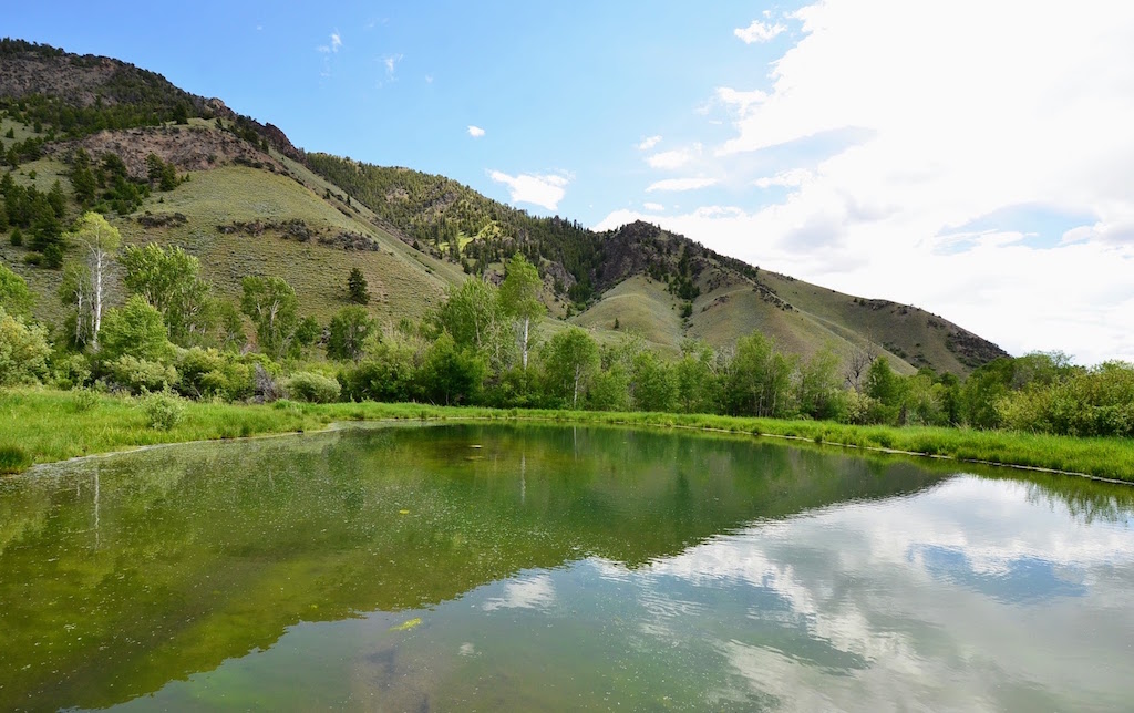 Little Morgan Creek Ranch property picture 53 of 58