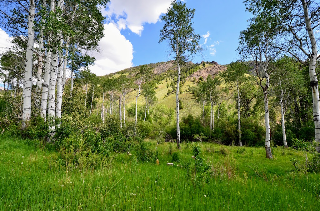 Little Morgan Creek Ranch property picture 48 of 58