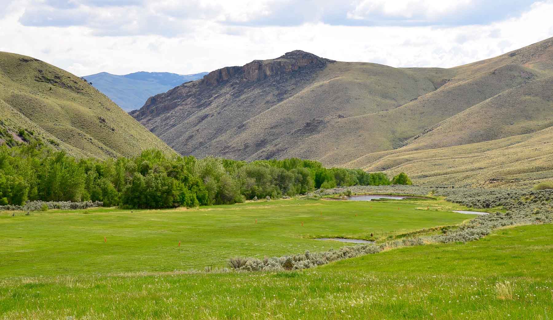 Little Morgan Creek Ranch property picture 42 of 58