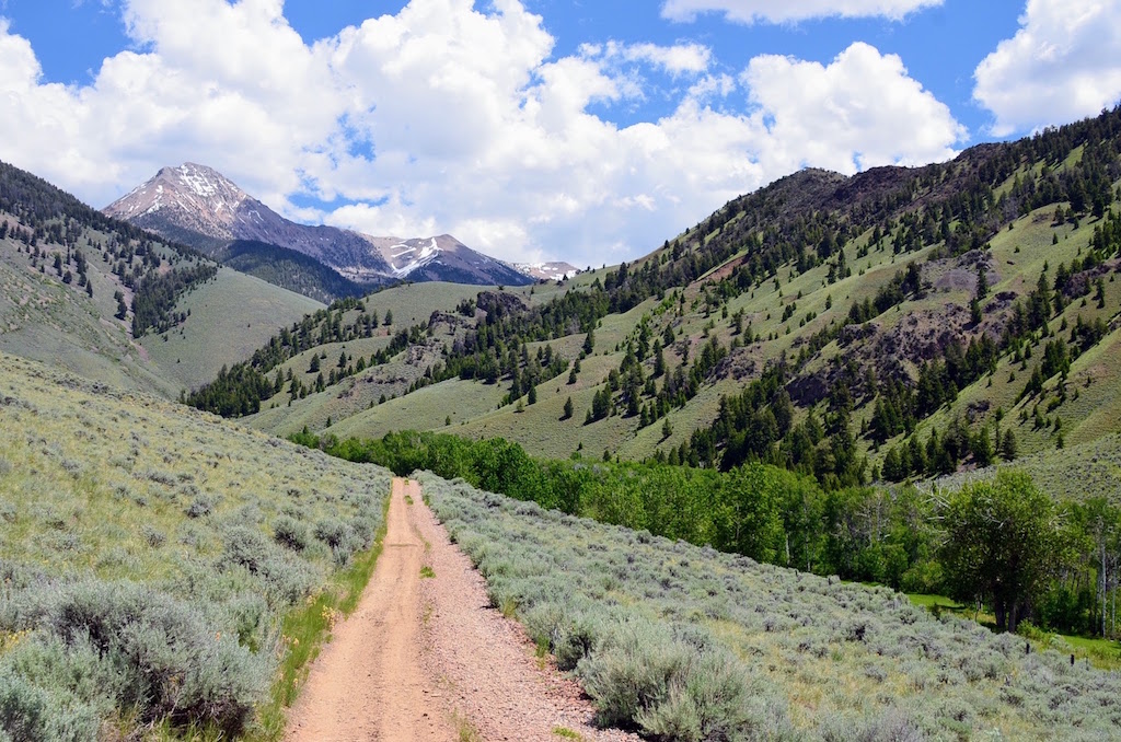 Little Morgan Creek Ranch property picture 49 of 58