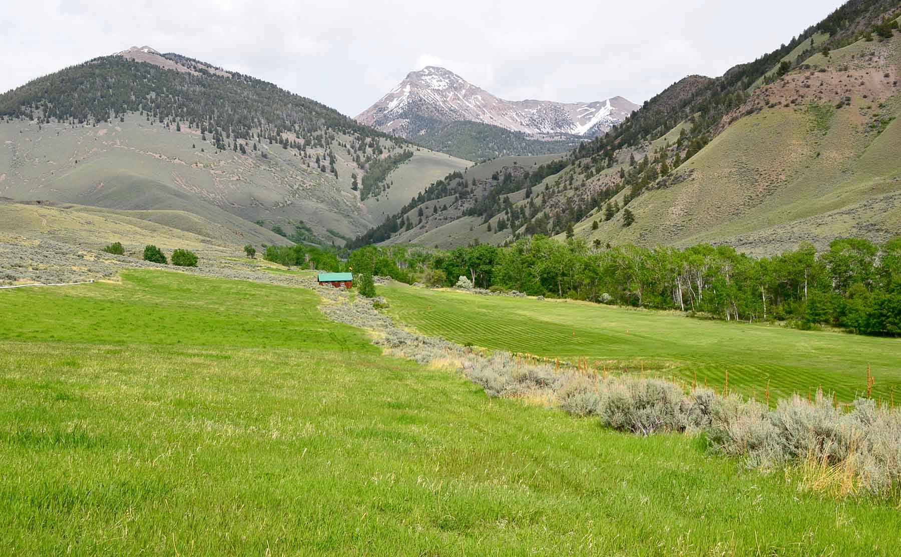 Little Morgan Creek Ranch property picture 43 of 58