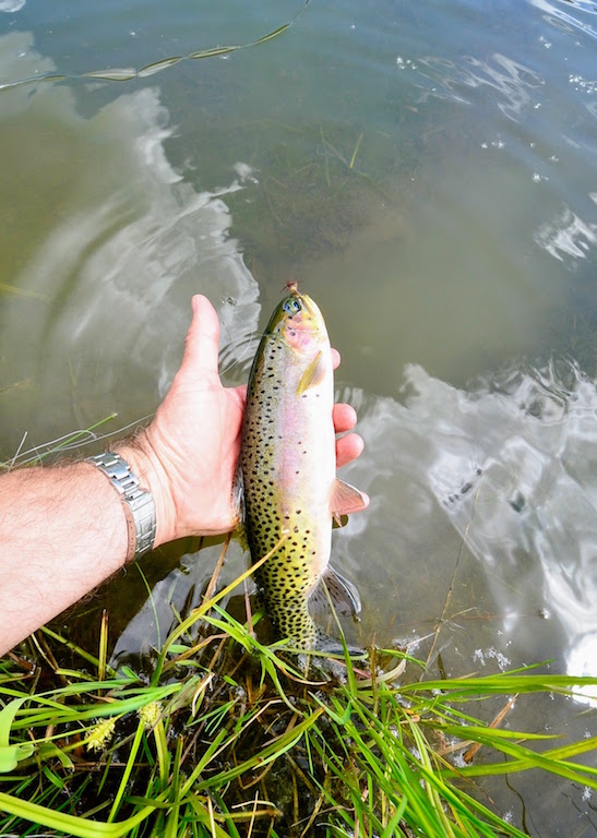 Little Morgan Creek Ranch property picture 55 of 58