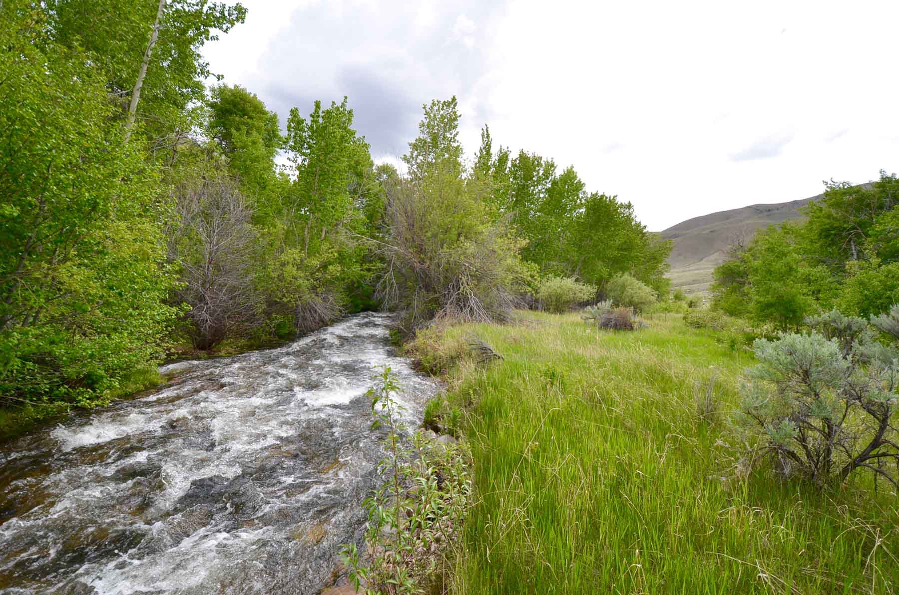 Little Morgan Creek Ranch property picture 28 of 58