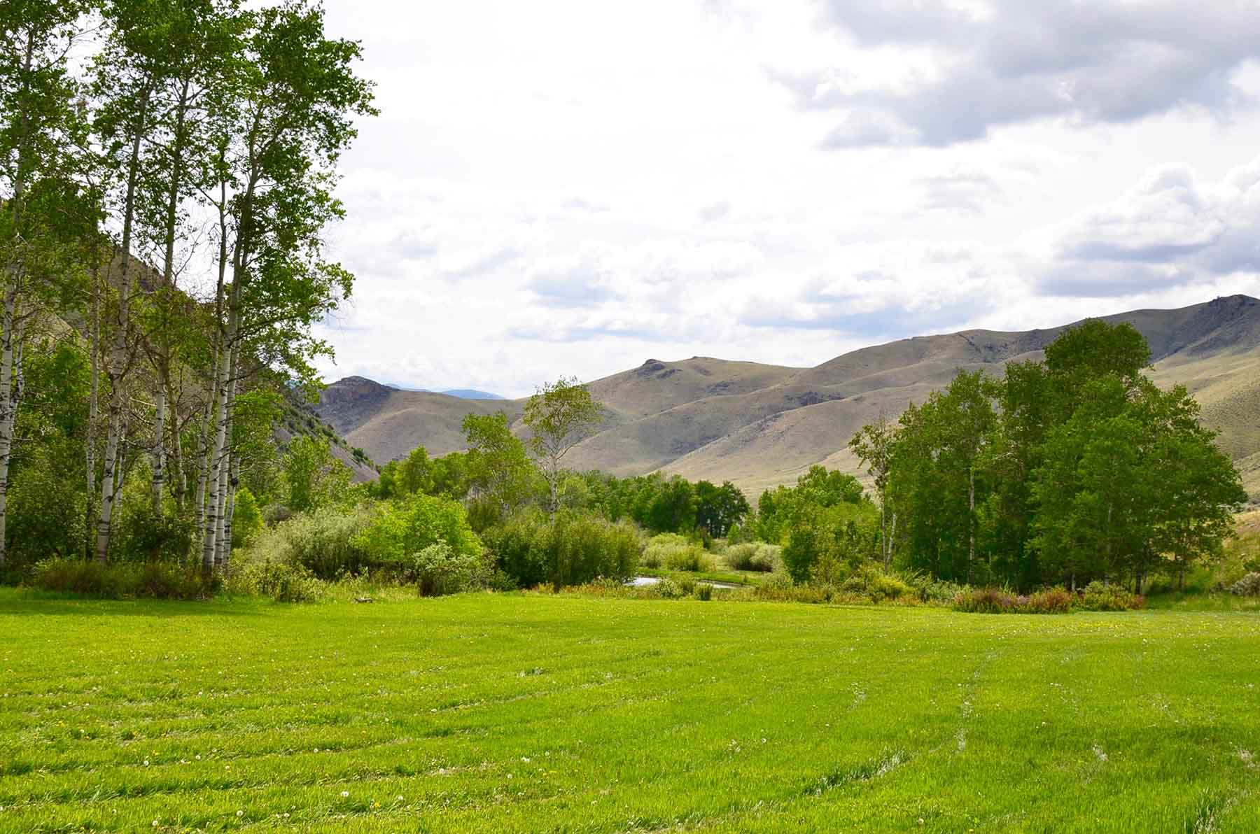 Little Morgan Creek Ranch property picture 33 of 58