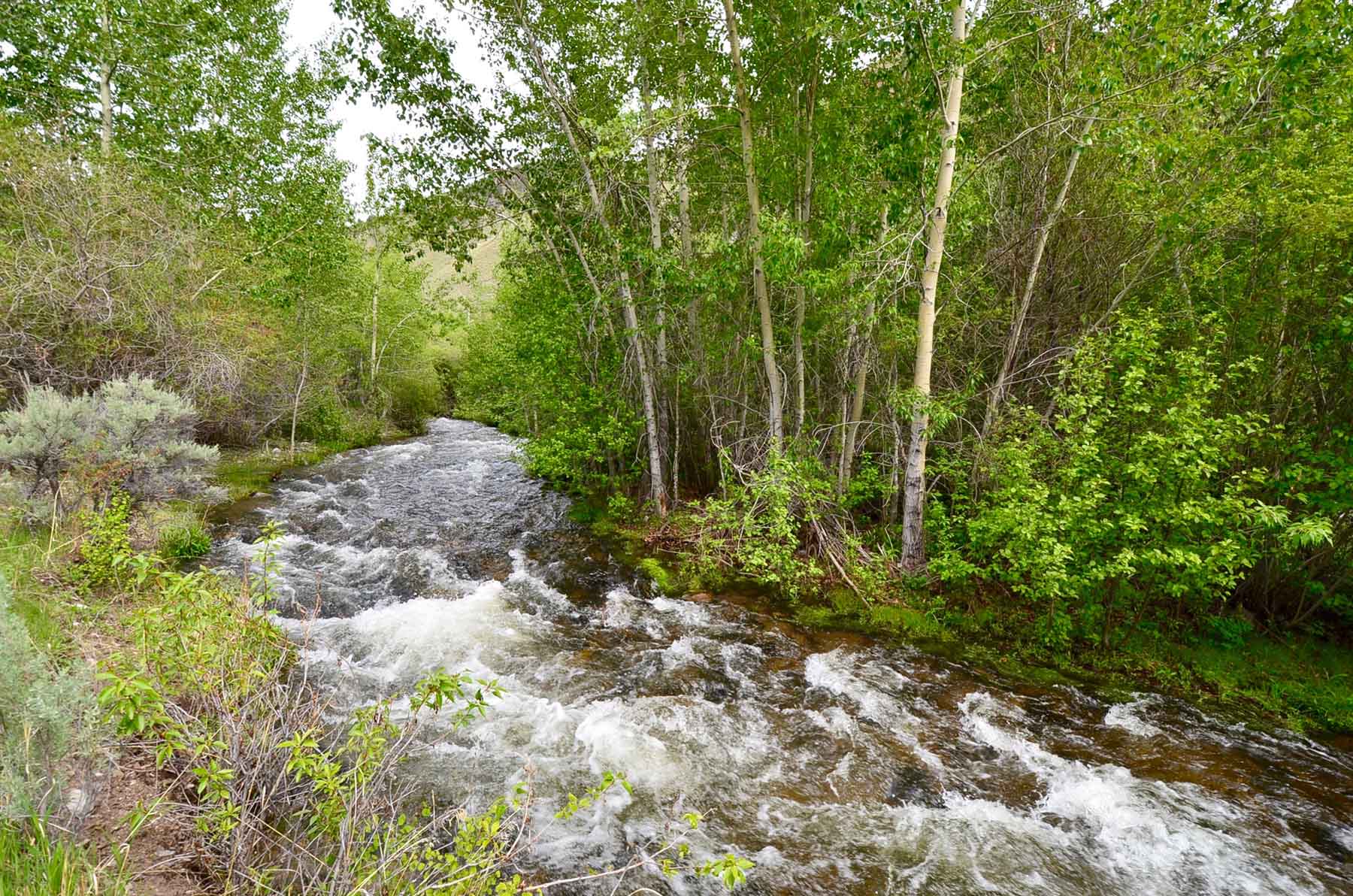 Little Morgan Creek Ranch property picture 27 of 58