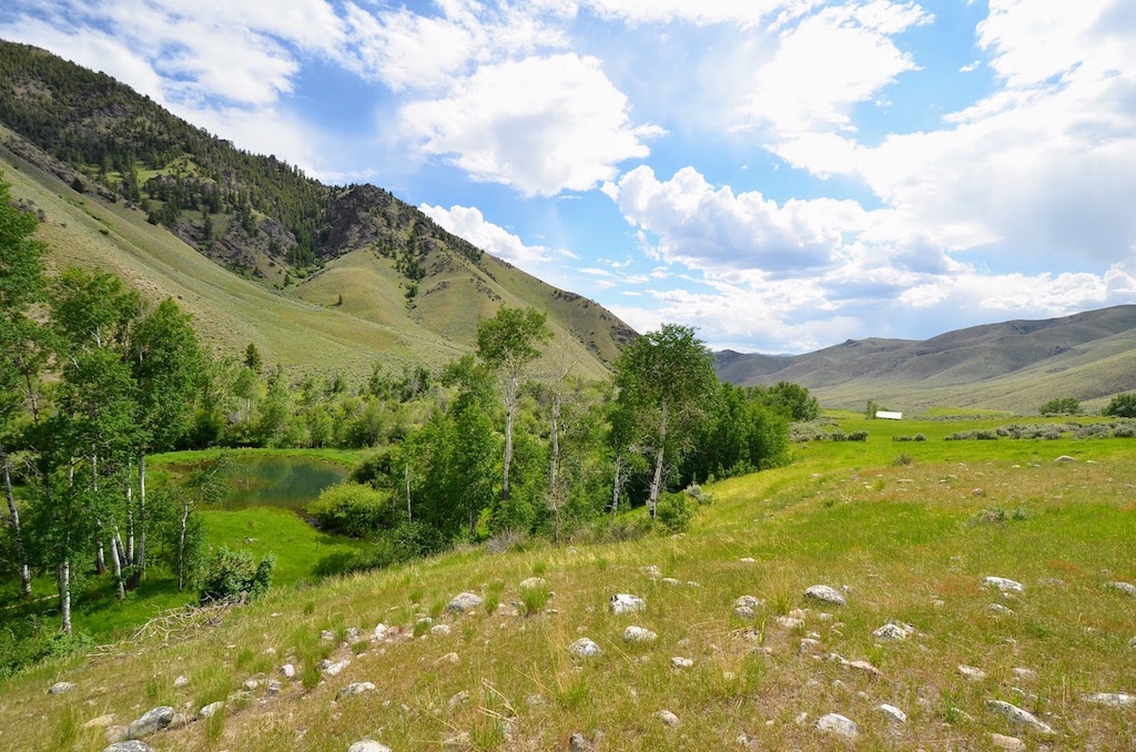 Little Morgan Creek Ranch property picture 57 of 58