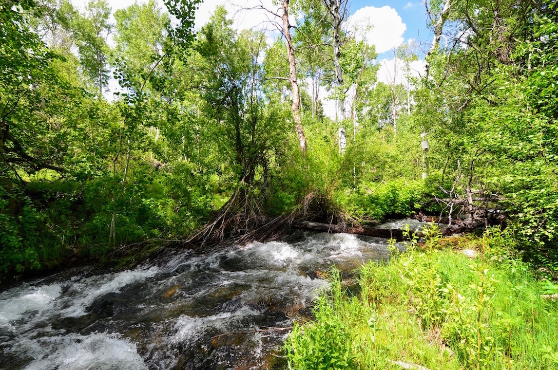 Little Morgan Creek Ranch property picture 52 of 58