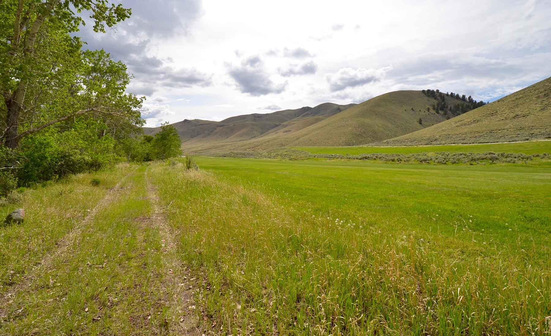 Little Morgan Creek Ranch property picture 34 of 58