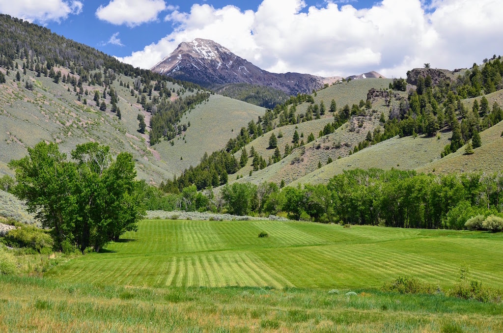 Little Morgan Creek Ranch property picture 51 of 58