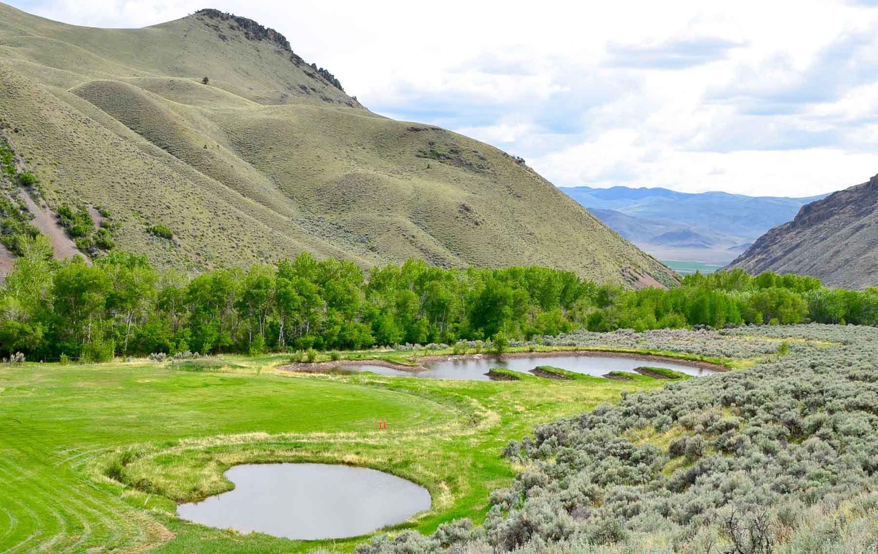 Little Morgan Creek Ranch property picture 44 of 58