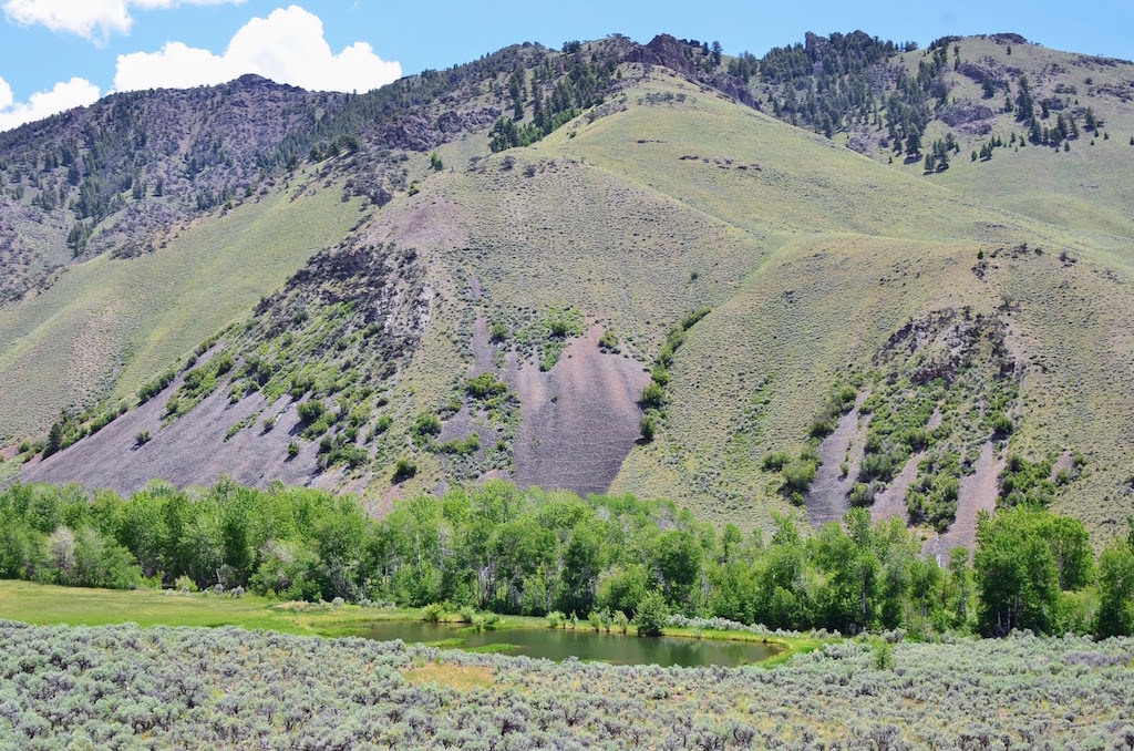 Little Morgan Creek Ranch property picture 50 of 58