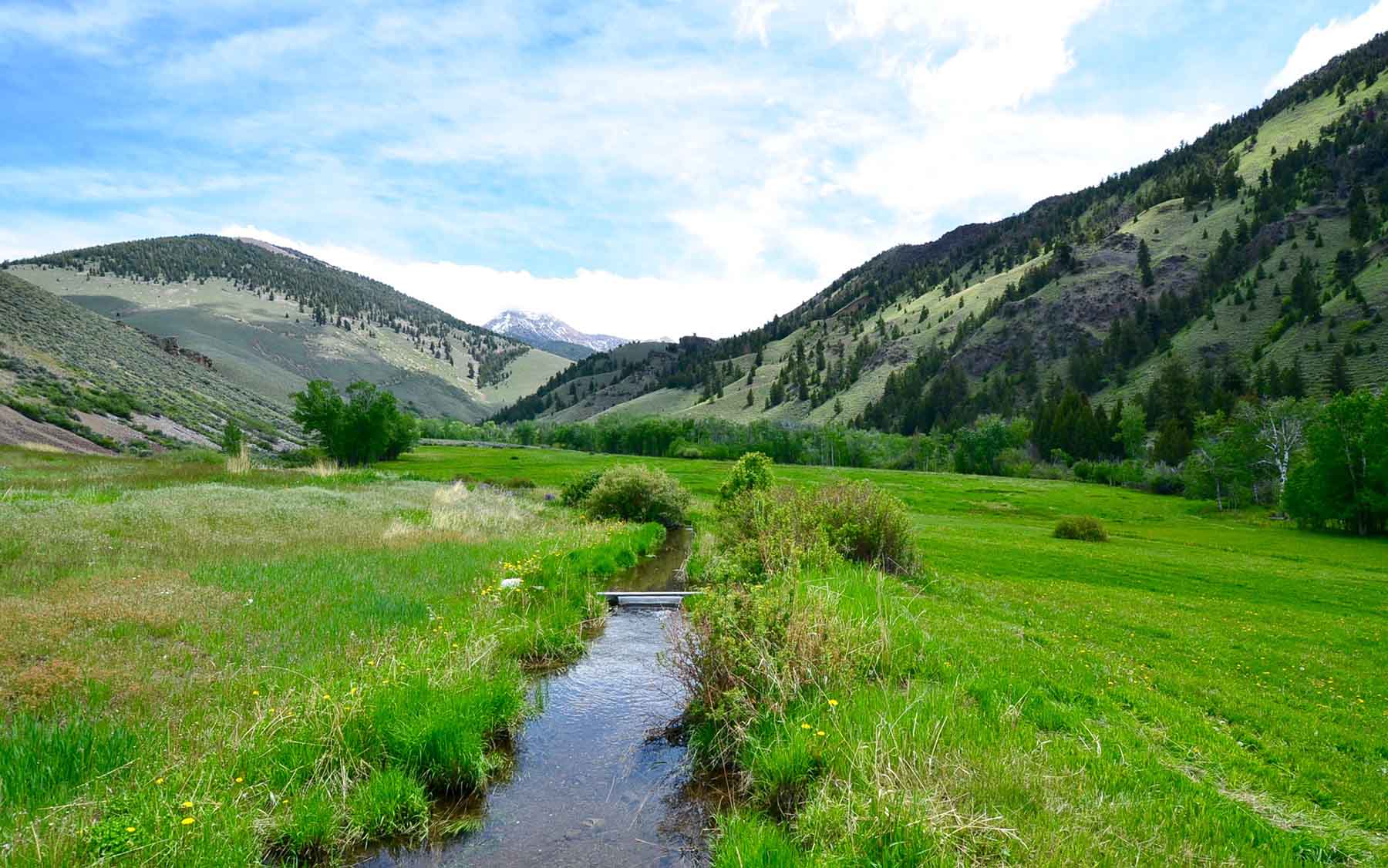 Little Morgan Creek Ranch property picture 23 of 58