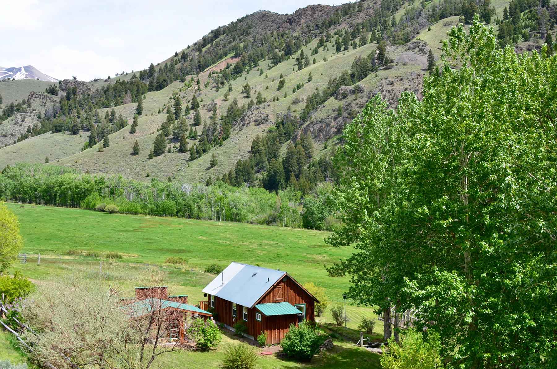 Little Morgan Creek Ranch property picture 22 of 58