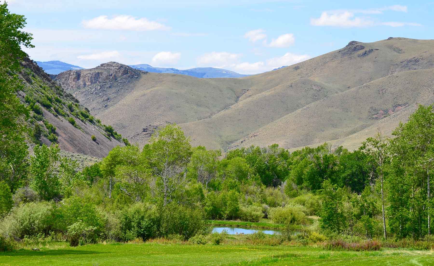 Little Morgan Creek Ranch property picture 36 of 58