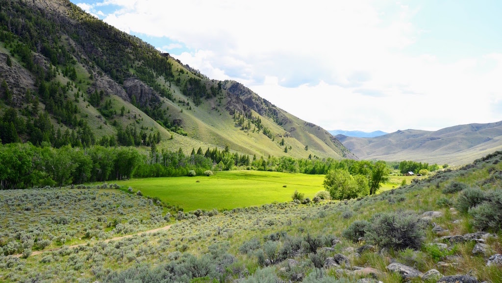 Little Morgan Creek Ranch property picture 58 of 58