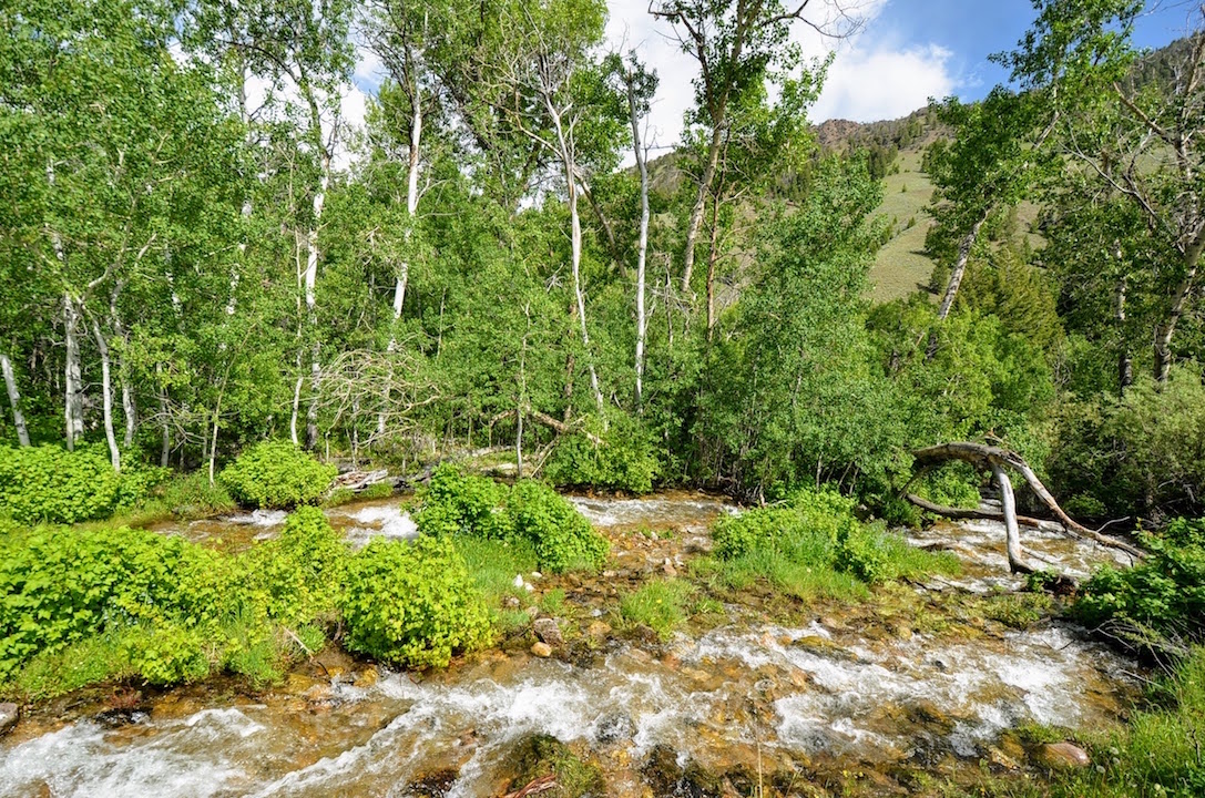 Little Morgan Creek Ranch property picture 47 of 58