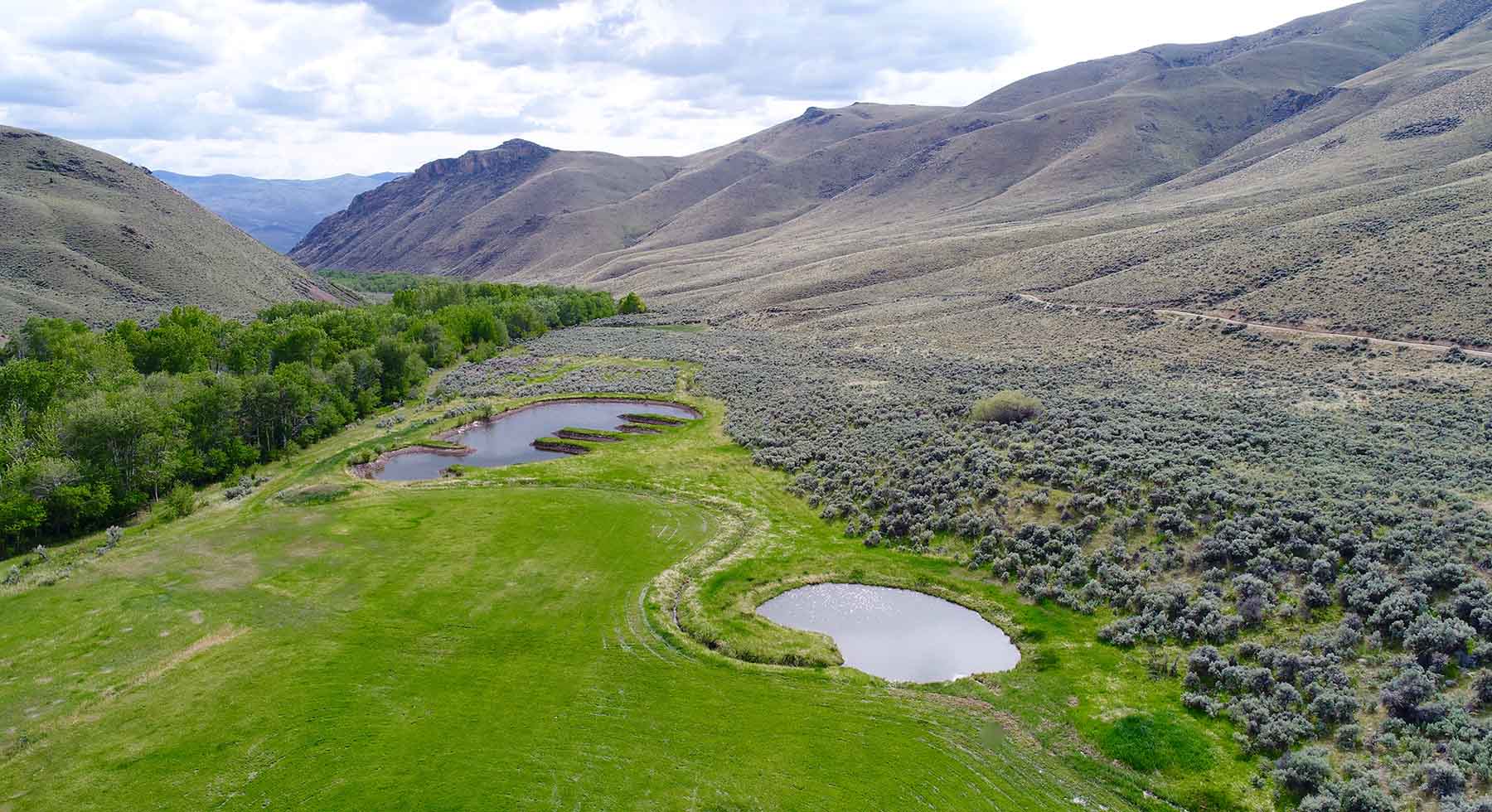 Little Morgan Creek Ranch property picture 3 of 58