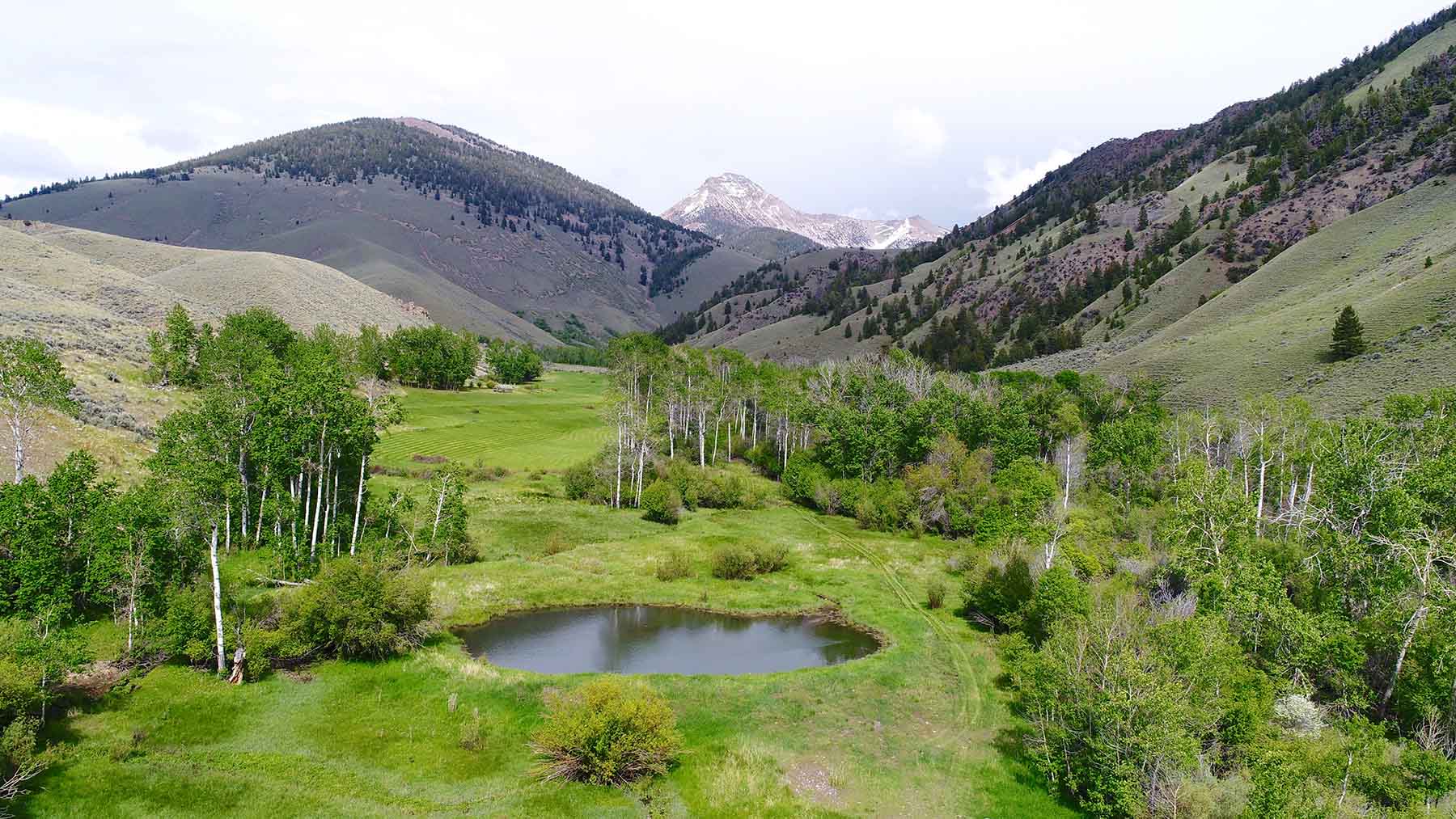 Little Morgan Creek Ranch property picture 4 of 58