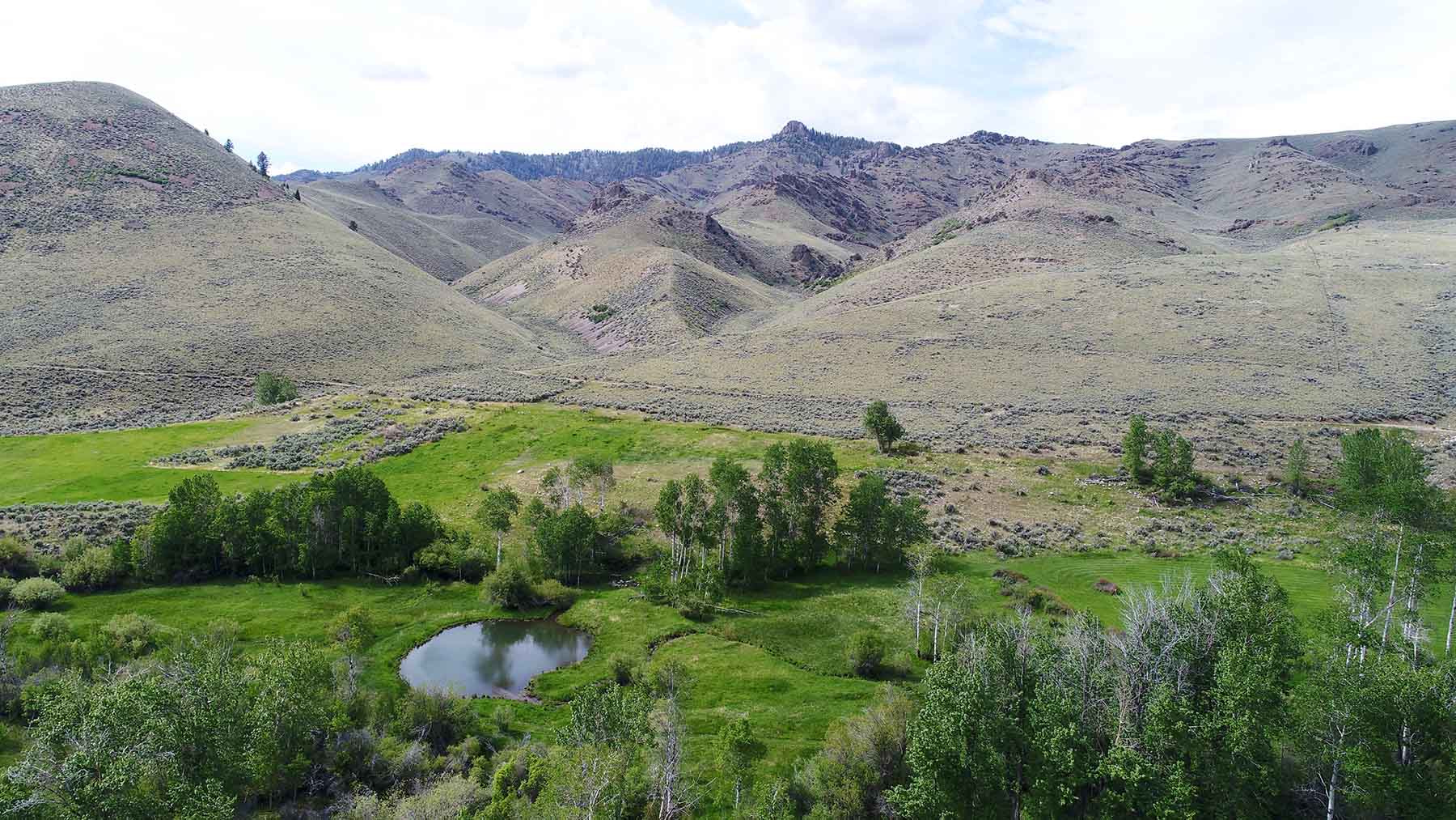 Little Morgan Creek Ranch property picture 6 of 58