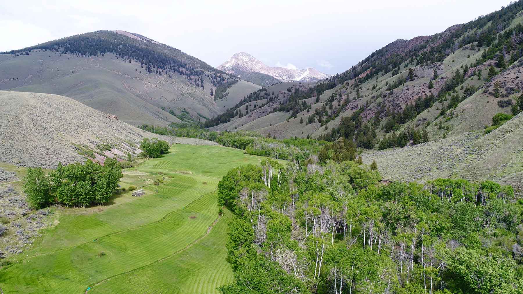 Little Morgan Creek Ranch property picture 8 of 58