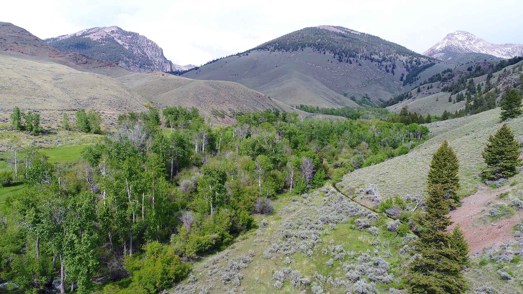 Little Morgan Creek Ranch property picture 9 of 58