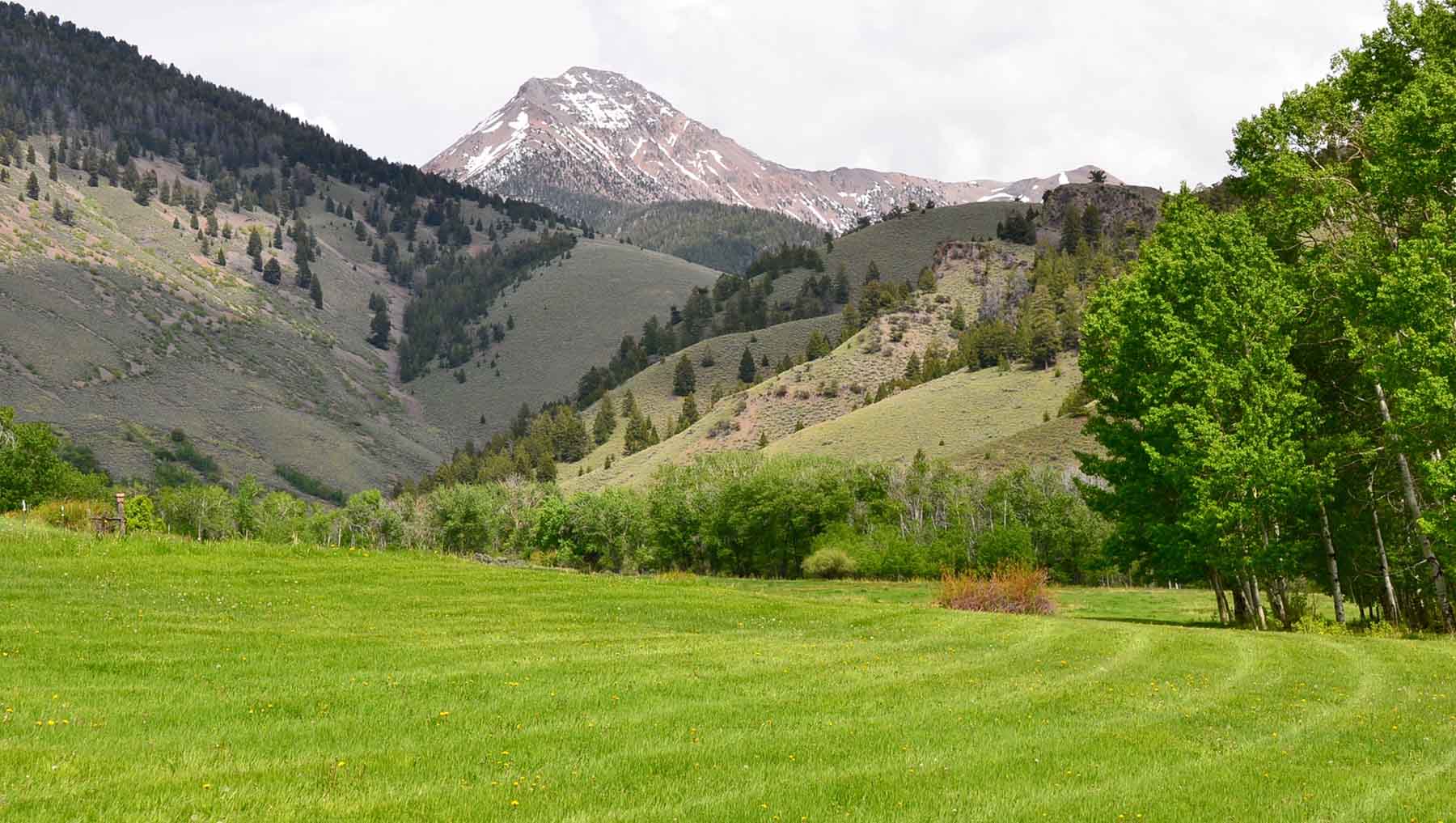 Little Morgan Creek Ranch property picture 35 of 58