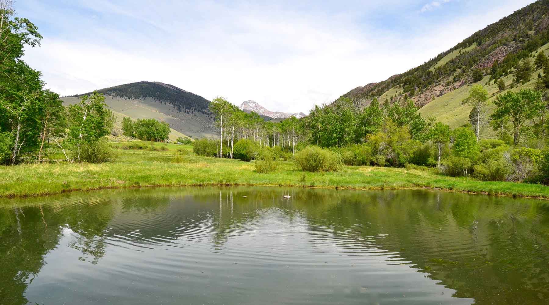 Little Morgan Creek Ranch property picture 38 of 58