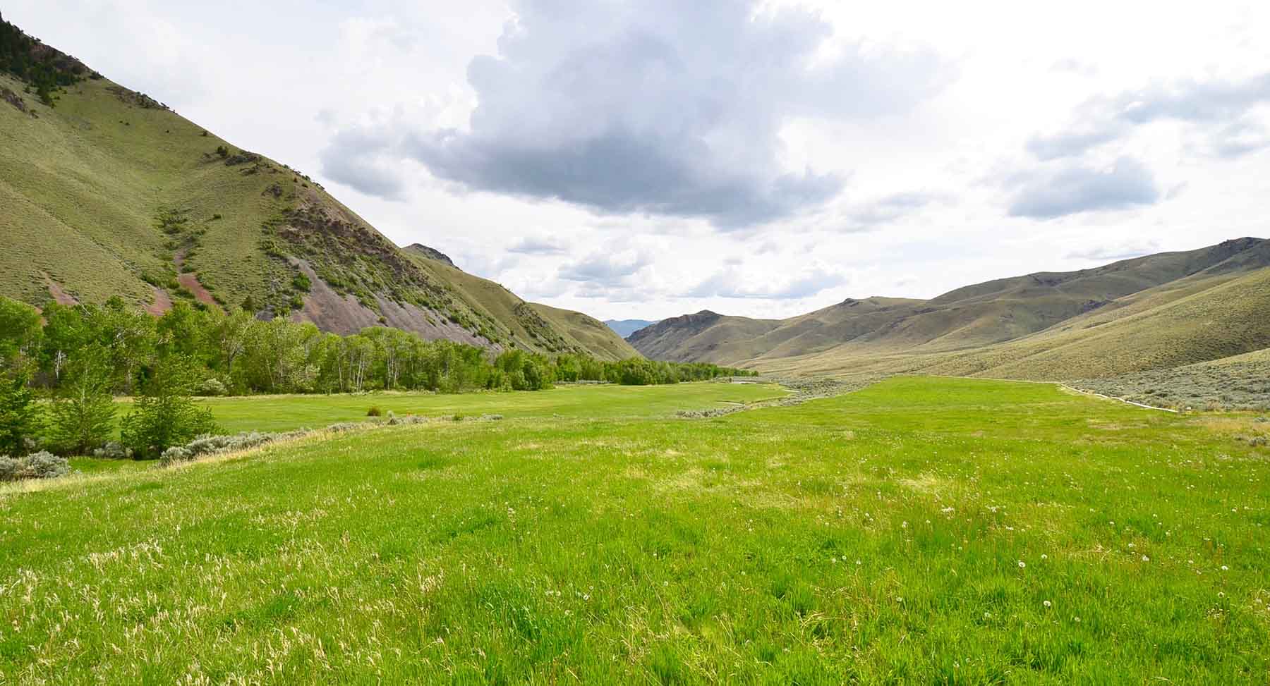 Little Morgan Creek Ranch property picture 41 of 58