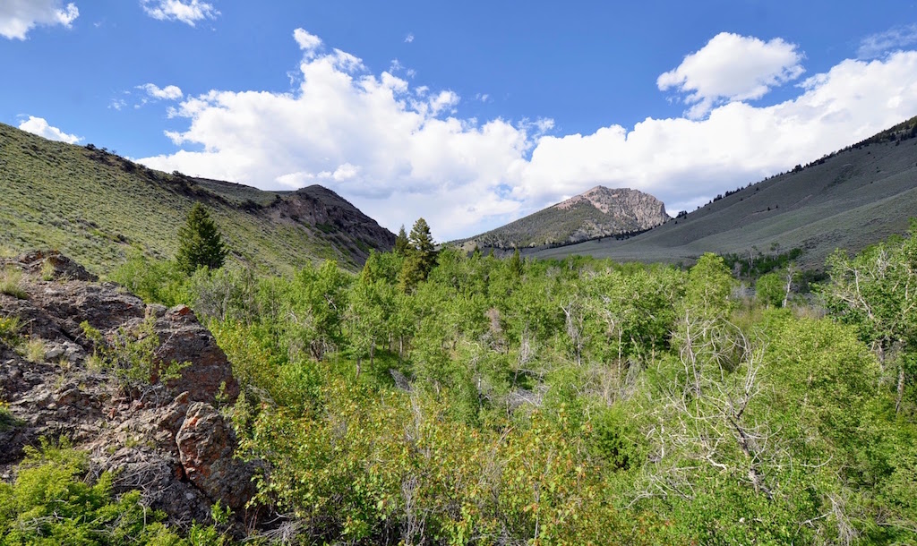 Little Morgan Creek Ranch property picture 45 of 58