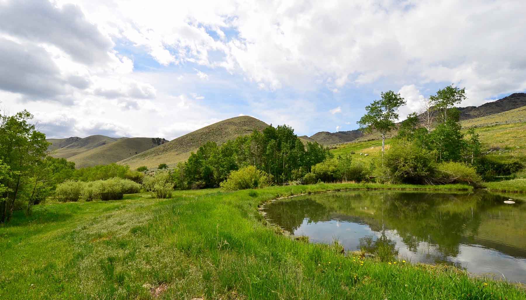 Little Morgan Creek Ranch property picture 39 of 58